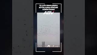 Tel Aviv semalarında büyük karga sürüleri!