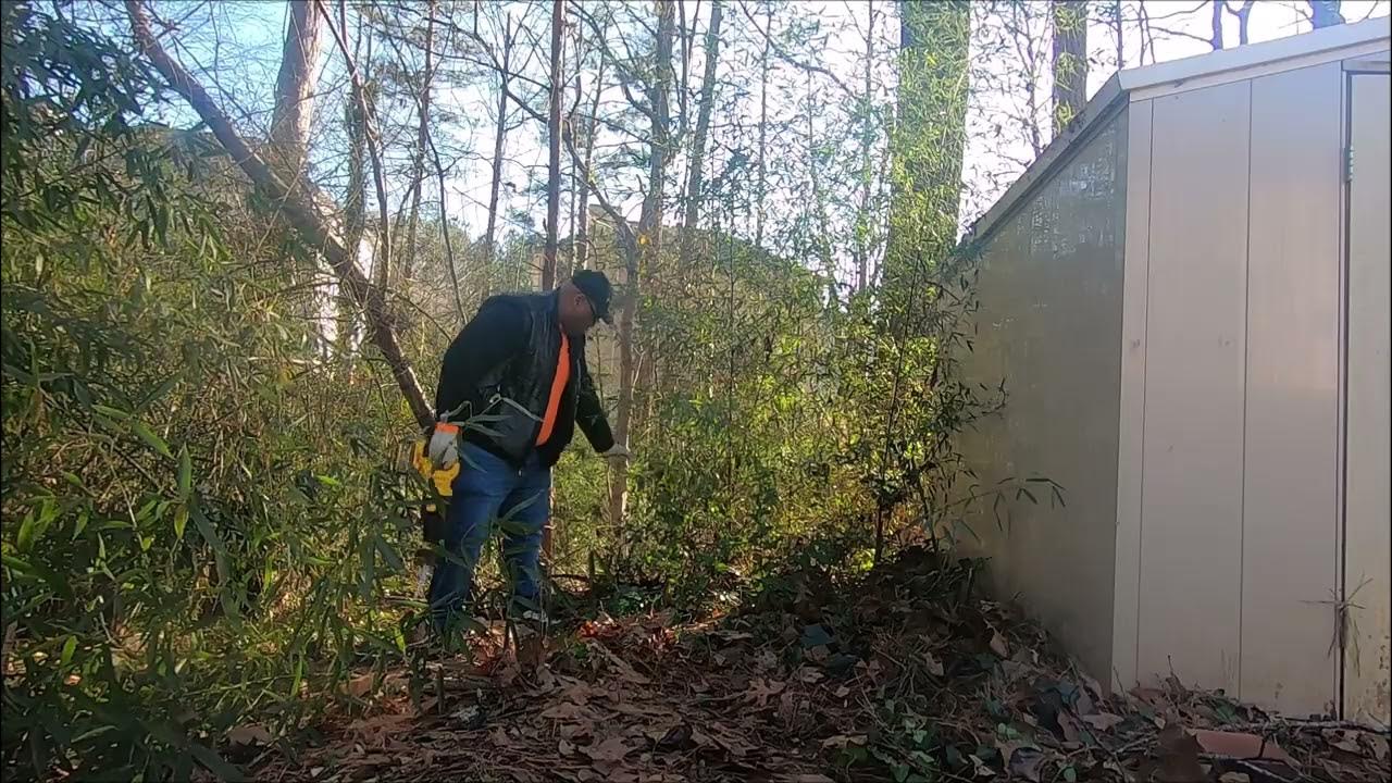 Using my new 319 Dewalt sawzall to cut up bamboo roots YouTube