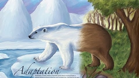 science grade 4  unit 1 concept 1 lesson 1 adaptation and survival