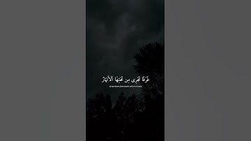 🤍--القارئ | عبدالرحمن مسعدالسورة | العنكبوت ‏#قرآن #quran #اكسبلور #explore #قران_كريم #اكسبلور_فولو