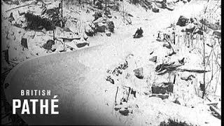 The Sport ... Dangerous! (1932) screenshot 3