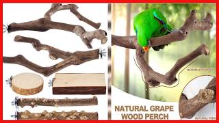 LIMIO 6-Piece Natural Wood Bird Perch Set for Small to Medium Parrots