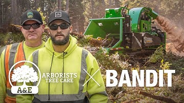 BANDIT and A&E Arborists Tree Care: Track Chipper Fleet Gets the Job Done in California Mountains!