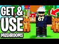 How to Get and Use Mushroom Gear Items in Grow a Garden 2 Roblox - Full Guide