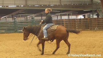 LB Smart Chic - riding in indoor arena #1 - ValleyViewRanch.net
