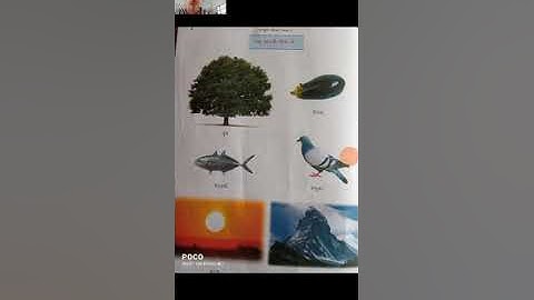 STD 1 computer ch-1 part-2