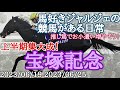 馬好きジャルジェの競馬がある日常　宝塚記念はあの馬で勝負！　#阪神競馬場 #イクイノックス #宝塚記念2023 #ルメール #中央競馬 #南関東競馬 #船橋競馬場 #地方競馬 #上杉俊介