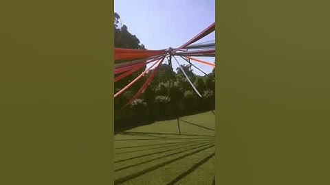 IIMT Dandiya Night Program #shorts #status #viral #trending #meerut