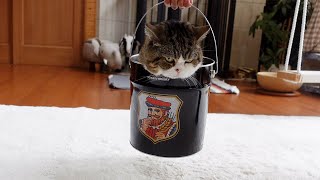 Maru in the bucket is heavy.