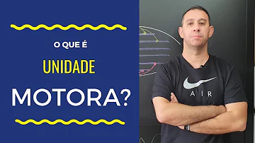 Qual a composição de uma unidade motora?