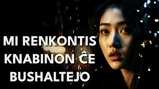 Mi renkontis knabinon ĉe bushaltejo