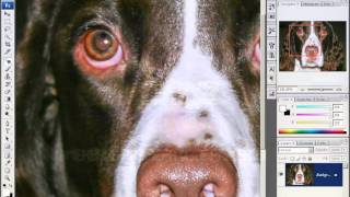 Уроки Adobe Photoshop CS3 - урок 2 - Изменение рамера, подавление эффекта красных глаз(, 2013-04-11T17:53:27.000Z)