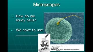 Cell Structure 2   Microscopes