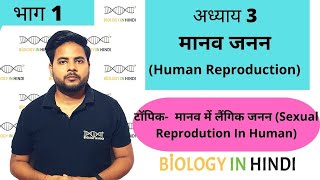 अध्याय 3 भाग 1 मानव जनन  | जीव विज्ञान कक्षा 12 | Human reproduction | Biology In Hindi class 12 screenshot 3