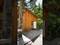 Домик в горном лесу. Домбай #горы #домбай #домиквлесу #путешествия #атмосферасчастья #горыкавказа