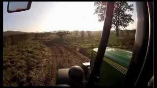 Carrot Harvesting Norfolk