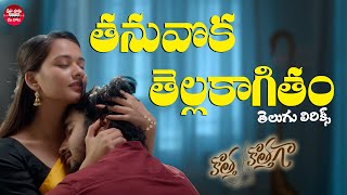 Thanuvoka Thella Kagitham Telugu Lyrics | Kotha Kothaga | Ajay, Virti Vaghani | Shekar Chandra