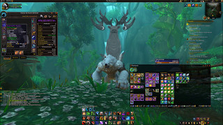 Guardian Druid Artifact Challenge 896 IL NO Luffa Wrappings!
