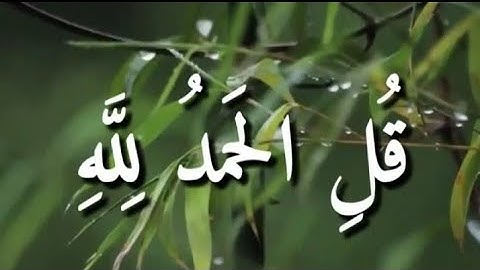 قرآن كريم بصوت القارئ: معاذ العيد |أجمل حالات واتس اب دينيه 🖤 || تلاوة خاشعة 🌘😴