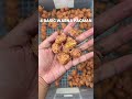 Kodok kok Warna Warni👊😭 | WA 082137374647 | Sosmed Reptilezoy