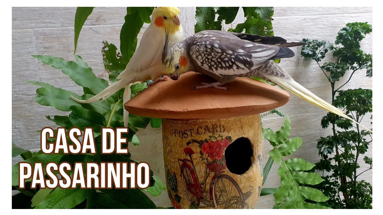 FAÇA VOCÊ MESMO CASA DE PASSARINHO DE CIMENTO.