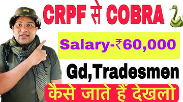 Crpf Tradesmen Cobra Commando Kaise Bane | CRPF Gd Se Cobra Me Kaise Jaye | #crpf_cobra