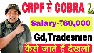 Crpf Tradesmen Cobra Commando Kaise Bane Crpf Gd Se Cobra Me Kaise Jaye