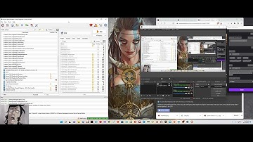 Skyrim/SE Mod Organizer Resolution Fix