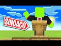 CHI è IL NUOVO SINDACO??? - Minecraft ITA EBLCRAFT #5
