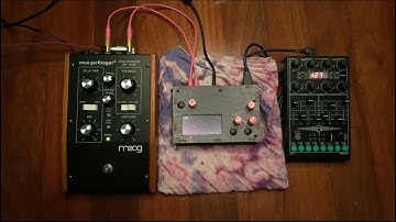 TMMY - Pseudo Hipster Tapeloop #1 ( Moogerfooger and Norns )