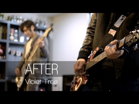 바이올렛트리 - After (Studio live ver.) M/V