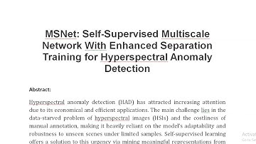 MSNet Self Supervised Multiscale Network With Enhanced Separation Training for Hyperspectral Anomaly