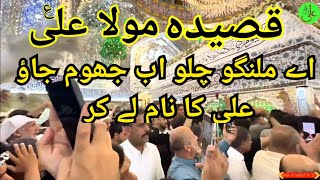 Qasida | Qasida Mola Ali as | Ay Malango Chalo Ab Jhoom Jao | Ali Ka Name Lay Kar | Maa Ki Mamta 313
