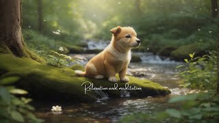 Sleeping music, relax music, peaceful music, sleep within 15 minutes: A Nighttime Dreamscapes.
