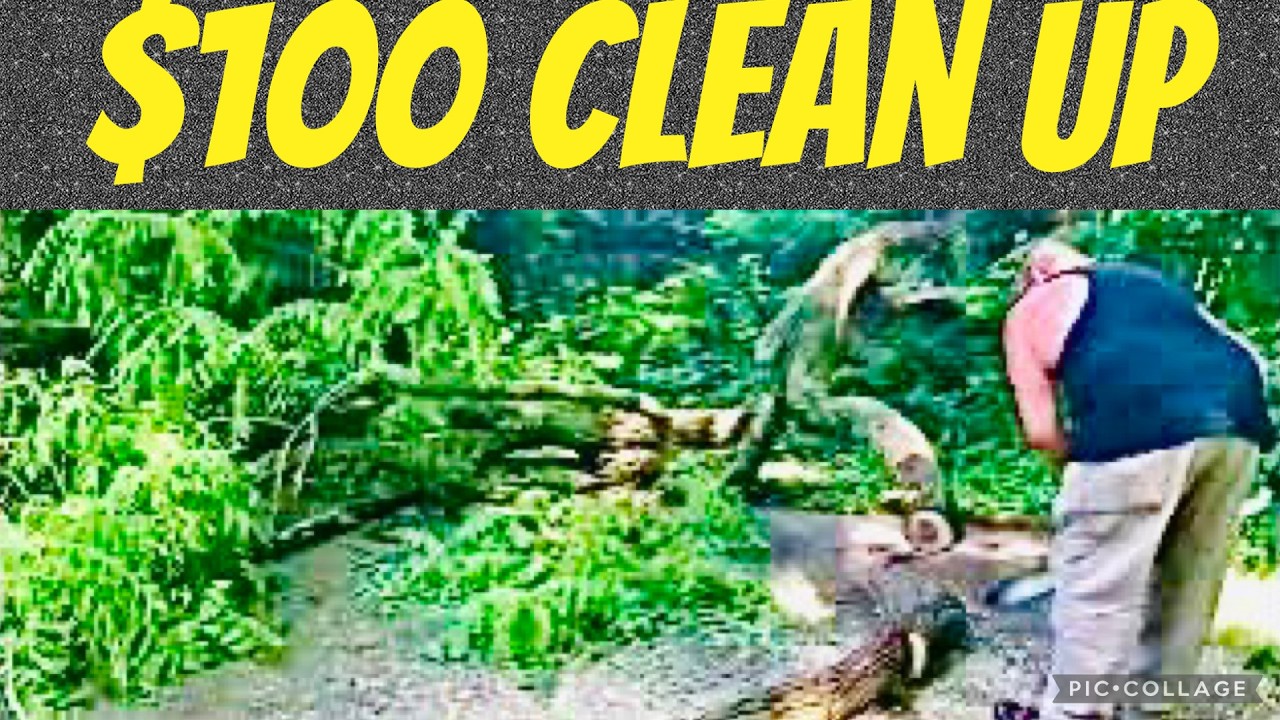 FIREWOOD | How to clean up fallen walnut branch FAST! - YouTube