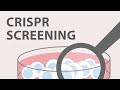 5 crispr cas9  screening and validation strategies