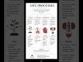 #Life Processes #chapter 01# Class 10 #biology #up board #introduction