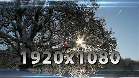 Light Reflections Overlays | Motion Graphics - Envato elements