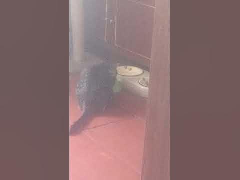 размытый текст - YouTube