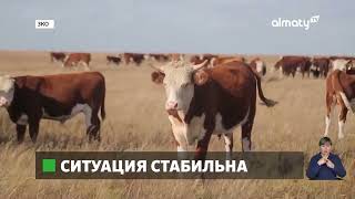 Ситуация стабилизировалась: в ЗКО уровень воды в реке Урал снизился