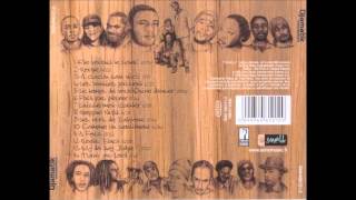 Djamatik - Roots Black feat Steel Pulse & Pepsi Brown