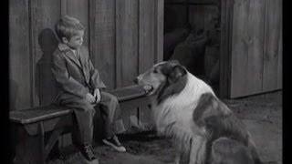 Lassie - Episode 105 - The Suit - Season 4, #2 (9/15/1957)