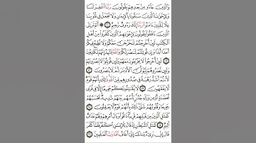 سورة الحشر ١٣ - ١٦ #اكسبلور#القران #القاري عطاء الله فاروقي من الدوحة قطر