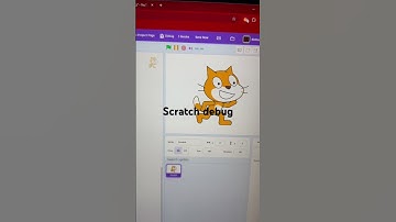 New scratch debug