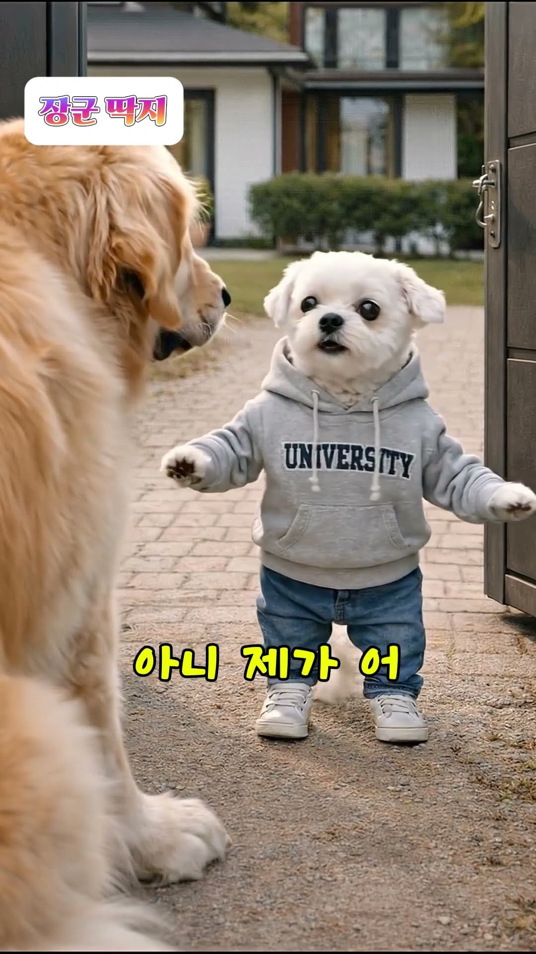수강생 숏츠