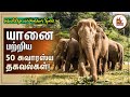 50 Interesting facts about elephant | யானை பற்றிய 50 சுவாரஸ்ய தகவல்கள்