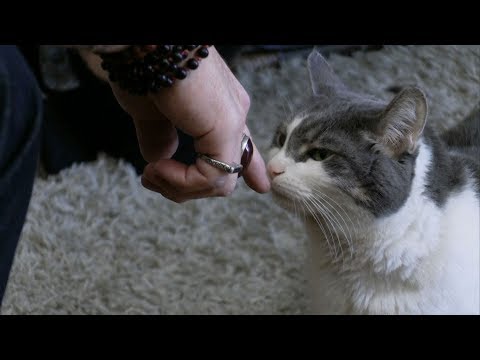 Раскрыта главная опасность