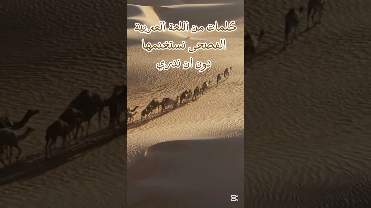كلمات من اللغة العربية الفصحى نستخدمها دون ان ندري
