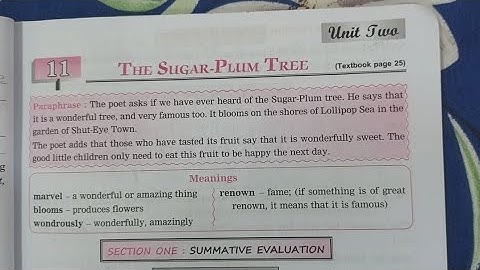 3rd standard english workbook lesson number 11 the sugar plum tree #3rdstandard #englishmedium