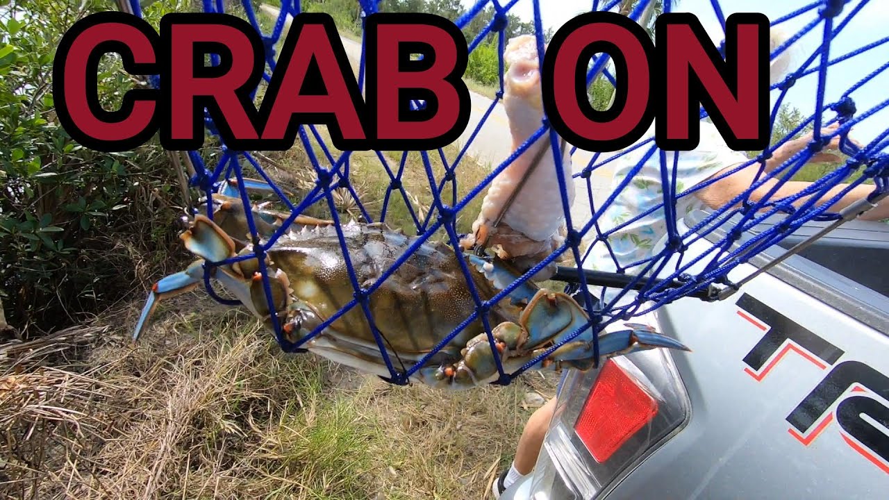 CRABBING WITH A SPECIAL GUEST TODAY IN CRYSTAL RIVER